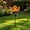 D4_Orange 15.3", variant on Veeogra Orange Solar Flower Stake Lights,Crackle Globe Glass Solar Lamp,Tulip Lotus Solar Led Lights,Lawn Walkway Yard Patio Flower Bed Outdoor Landscape,Garden Gifts For Mom & Women,15.3"