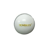 REINDEER Cricket Soft Leather Ball for Practice Machine Stitched (Pack of 1)