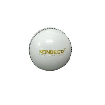 REINDEER Cricket Soft Leather Ball for Practice Machine Stitched (Pack of 1)