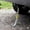 Yellow, variant on Car Reflective Static Strap, Electrostatic Earth Belt Ground Wire Strap and trucks - Yellow, 30mm