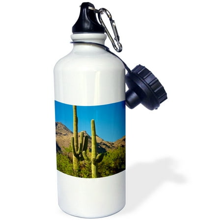 3dRose Saguaro, Sabino Canyon, Tucson, Arizona, USA, Sports Water Bottle, 21oz