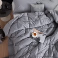 thumbnail image 2 of Coma Inducer Snorze® Cotton Cloud Comforter - ® - Alloy Twin XL, 2 of 4