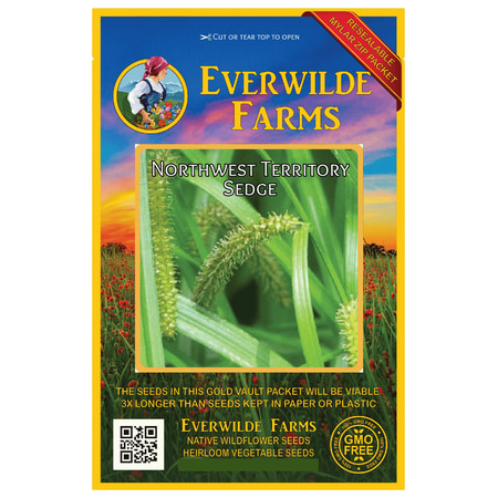 Everwilde Farms - 1000 Northwest Territory Sedge Native Grass Seeds - Gold Vault Jumbo Bulk Seed Packet