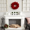 thumbnail image 2 of Nearly Natural 22" Amaryllis Wreath, 2 of 5