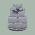 thumbnail image 2 of Toddler Boys Girls Sleeveless Collar Down Vest Fall Winter Solid Color Button Stripe Jacket, 2 of 7