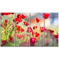 thumbnail image 2 of Belle Vue de Fleurs de Coquelicot Rouge - Impression sur Toile Florale, 2 of 3