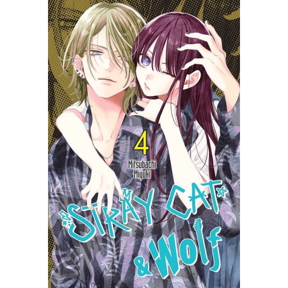 Stray Cat & Wolf Stray Cat & Wolf, Vol. 4: Volume 4, Book 4, (Paperback)