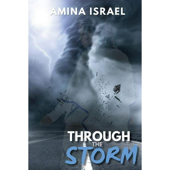 Through the Storm (Paperback)