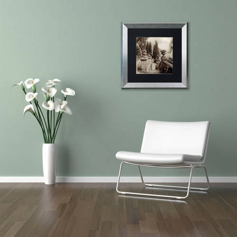 Trademark Fine Art "Lombardy VIII" Canvas Art by Alan Blaustein, Black Matte, Silver Frame