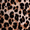 CHEETAH, variant on Time and Tru Women’s and Women’s Plus Coverup Wrap Dress with Long Sleeves, Sizes XS-3X
