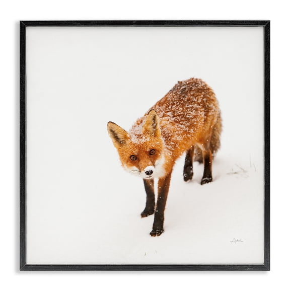Stupell Industries Farmhouse Fox Stepping Snowy Landscape Black Framed Giclee Art, 12 x 12, by Aledanda