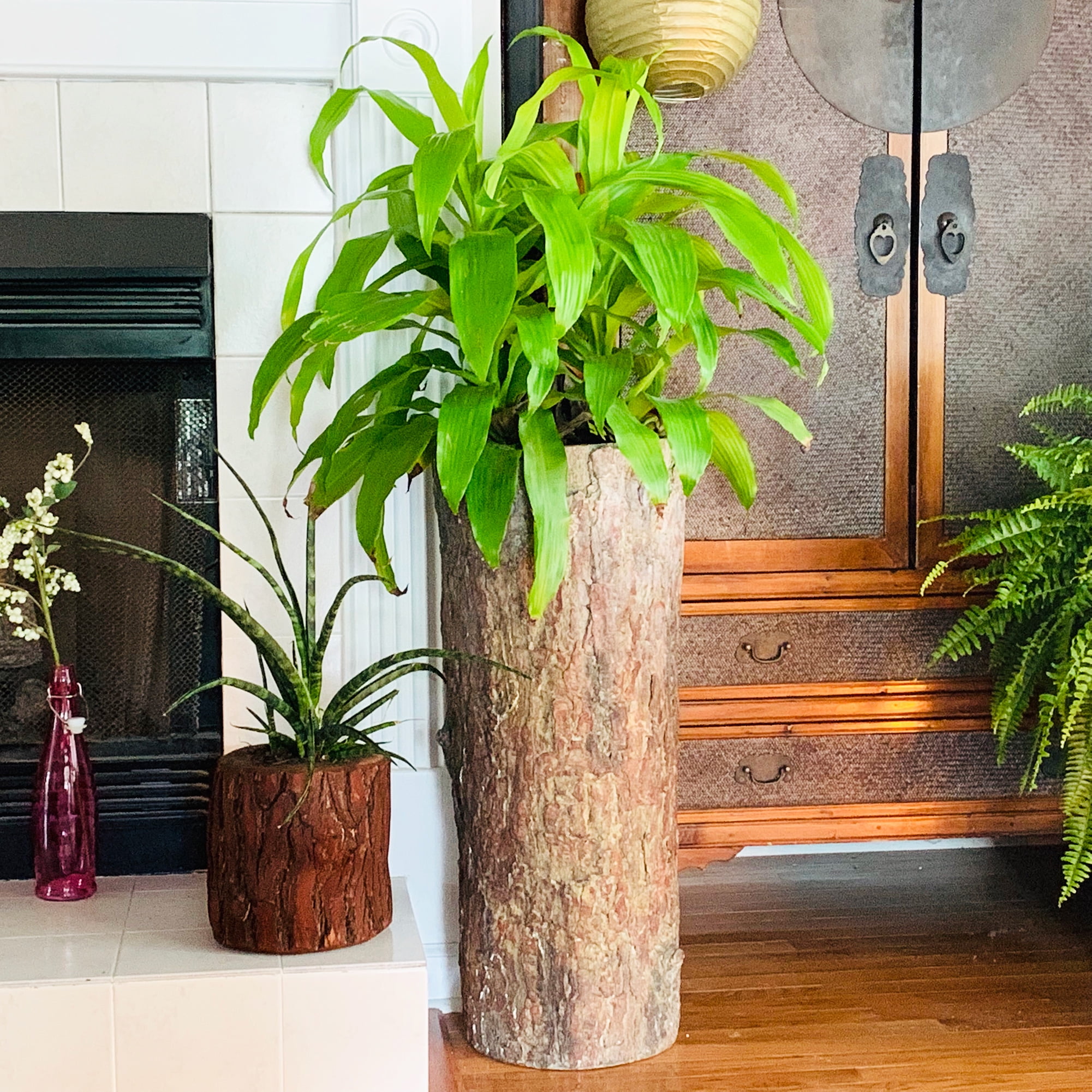 OFFicial White Stone Rustic Planter 6 Diameter Plant Live Houseplant 