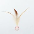 thumbnail image 6 of Cat Feather Ball Toys, Interactive Cat Toys For Indoor Cats, Bouncy Balls Toys For Cat, Basketball Soccer Toys For Exercise, Catnip Ball Toys, Cat Chew, 6 of 6