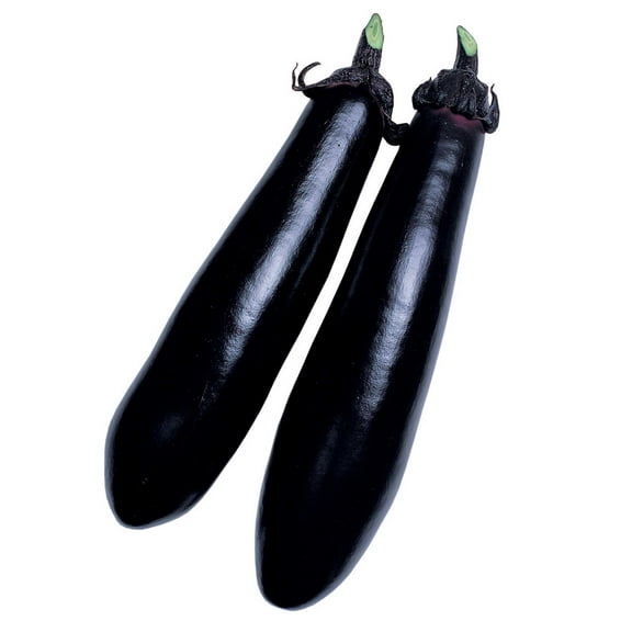 Eggplant Seeds - Black Shine - Hybrid - 500 Mg Packet ~112 Seeds - Non-GMO, F1 Hybrid - Asian Garden Vegetable