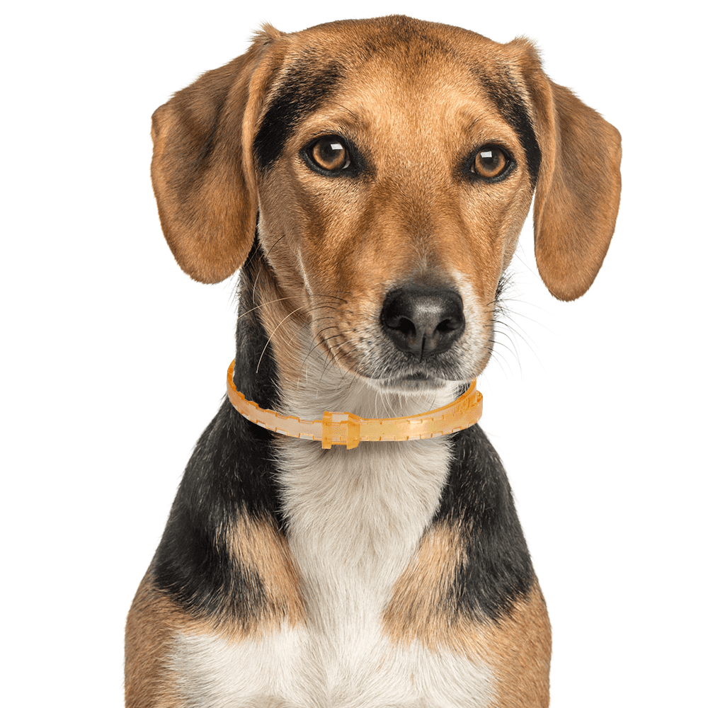 natural care flea and tick collar