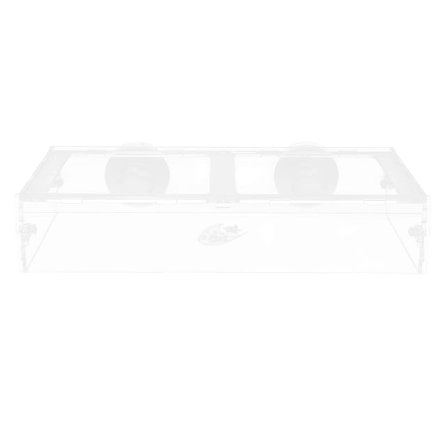 Miangastore Suction Cup Fish Feeder Aquarium Food Container Acrylic 1Pcs 11.8X5.9X2.4In