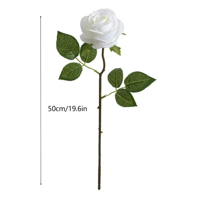 Imitate A Singles Rose