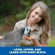 Educational Insights GeoSafari Talking Globe for Kids, Ages 4+, Interactive Electronic Learning System
