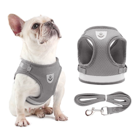Dog Harness and Leash Set Reflective Adjustable Mesh Vest for Small Dogs Puppy Cats