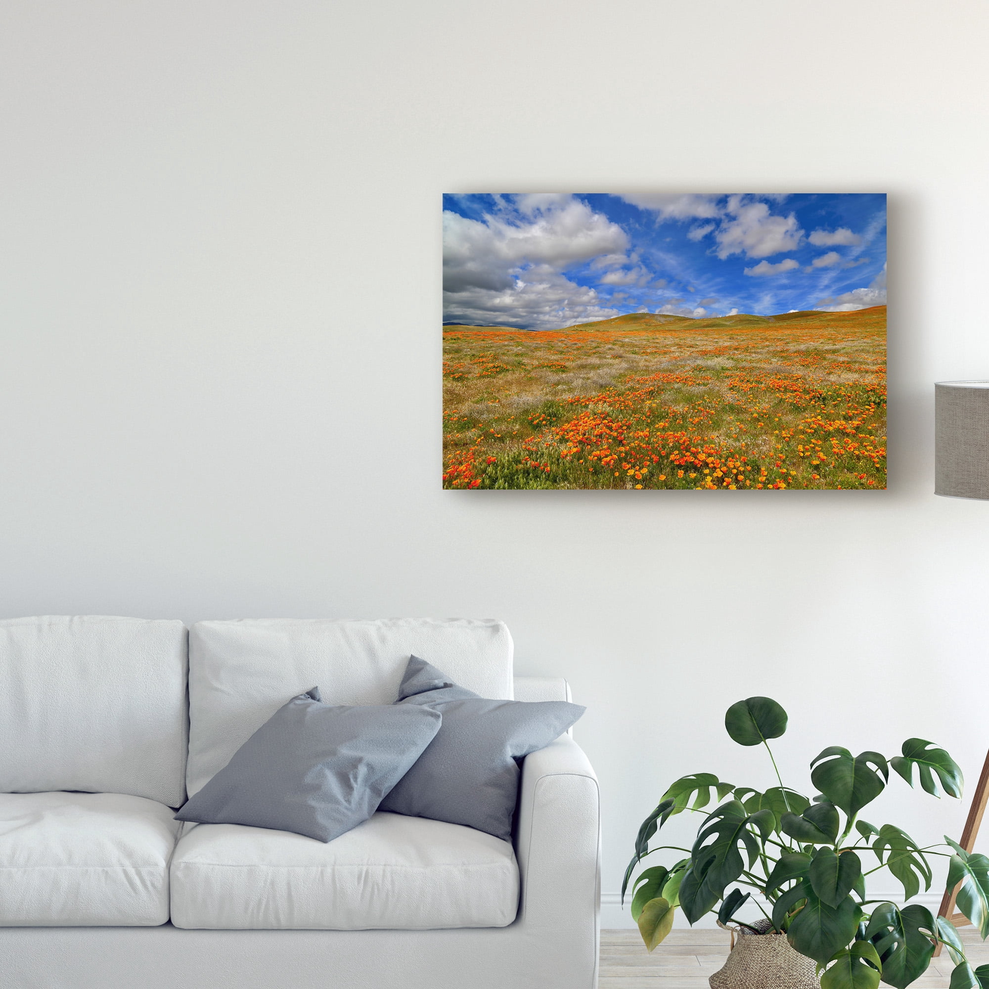 Trademark Fine Art 'Poppies With Clouds' Canvas Art by American School