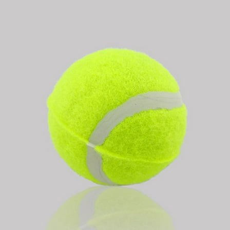 IFANLANDOR 6Pcs Assorted Color Tennis Balls for Training and Playing