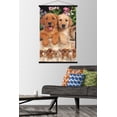 thumbnail image 2 of Keith Kimberlin - Puppies - Labs Wall Poster with Magnetic Frame, 22.375" x 34", 2 of 5