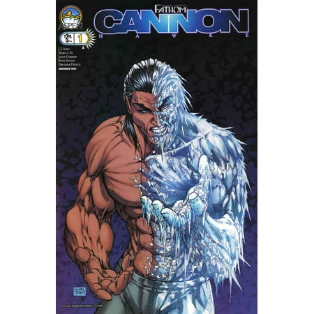 

Fathom: Cannon Hawke (Michael Turner s ) #1A VF ; Aspen Comic Book