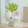 thumbnail image 4 of Mini Cartoon Animal Ceramic Succulent Flower Pot Cute Cactus Planter Desk Decor-6-, 4 of 7