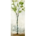 thumbnail image 2 of Milan, Vittorio 8x14 White Modern Wood Framed Museum Art Print Titled - Watercolor Birch Trees I, 2 of 4