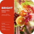 thumbnail image 4 of OLLY Bright Body Wash Repairs & Brightens Skin Citrus Currant, 17 oz, 4 of 13