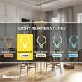 thumbnail image 5 of Bulbrite Pack of (2) 5W LED T9 2700K Filament Bulb, 5 of 7