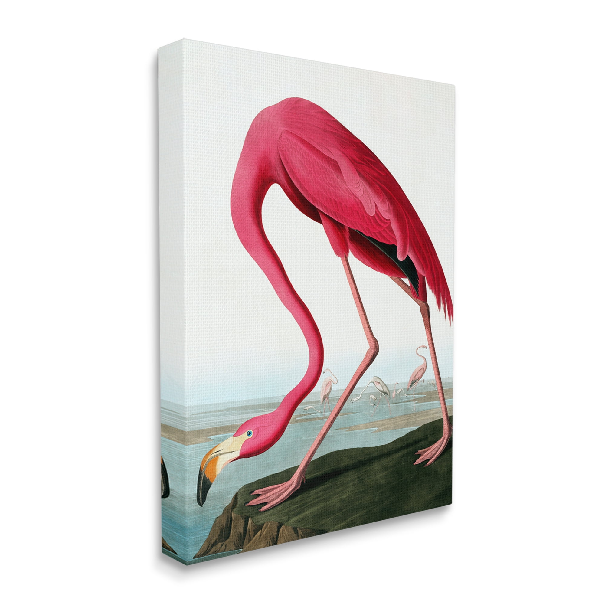 Stupell Industries Flamingo Stepping Near Pond Animals & Insects Painting Gallery Wrapped Canvas Print Wall Art, 16 x 20