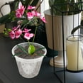 thumbnail image 6 of GOOHOCHY 5pcs Transparent Orchid Pots with Holes for Healthy Root Growth Ideal for Home and Office Use, 6 of 8