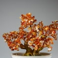 thumbnail image 2 of Genuine Carnelian Gemstone Bonsai Tree in Oval Ceramic Pot (8"), 2 of 5