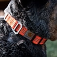 thumbnail image 4 of Collar para perro Carhartt, totalmente ajustable, con correas de nailon reflectantes, 4 of 5