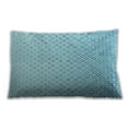 thumbnail image 1 of Ahgly Company Outdoor Rectangular Contemporary Lumbar Throw Pillow, 13 inch by 19 inch, 1 of 5