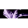 thumbnail image 2 of Koetsier, Albert 32x13 White Modern Wood Framed Museum Art Print Titled - Violet Explosion 1, 2 of 4