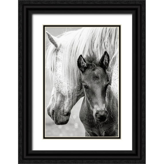 Parker, Jacky 23x32 Black Ornate Wood Framed with Double Matting Museum Art Print Titled - The Foal
