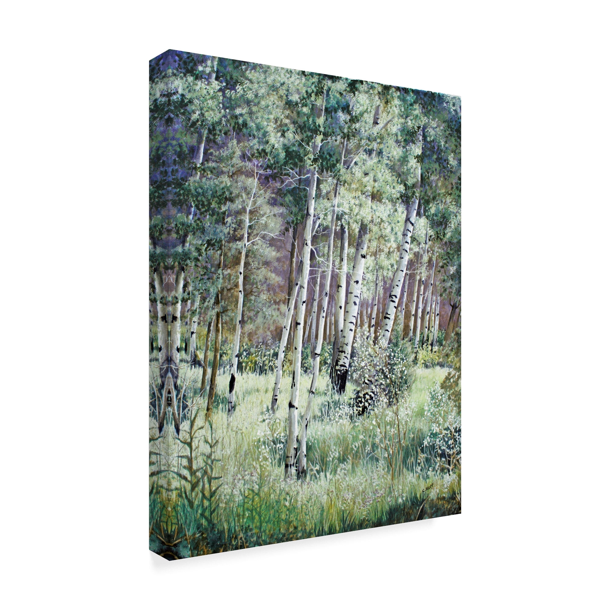Trademark Fine Art 'Sunlit Meadow' Canvas Art by Carol J Rupp
