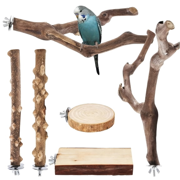 6 Pcs Natural Grapewood Bird Perch Set – Variety Pack with Platform & Branch Perches for Parrots, Cockatiels & Small Birds, Cage Accessories for Climbing & Exercise