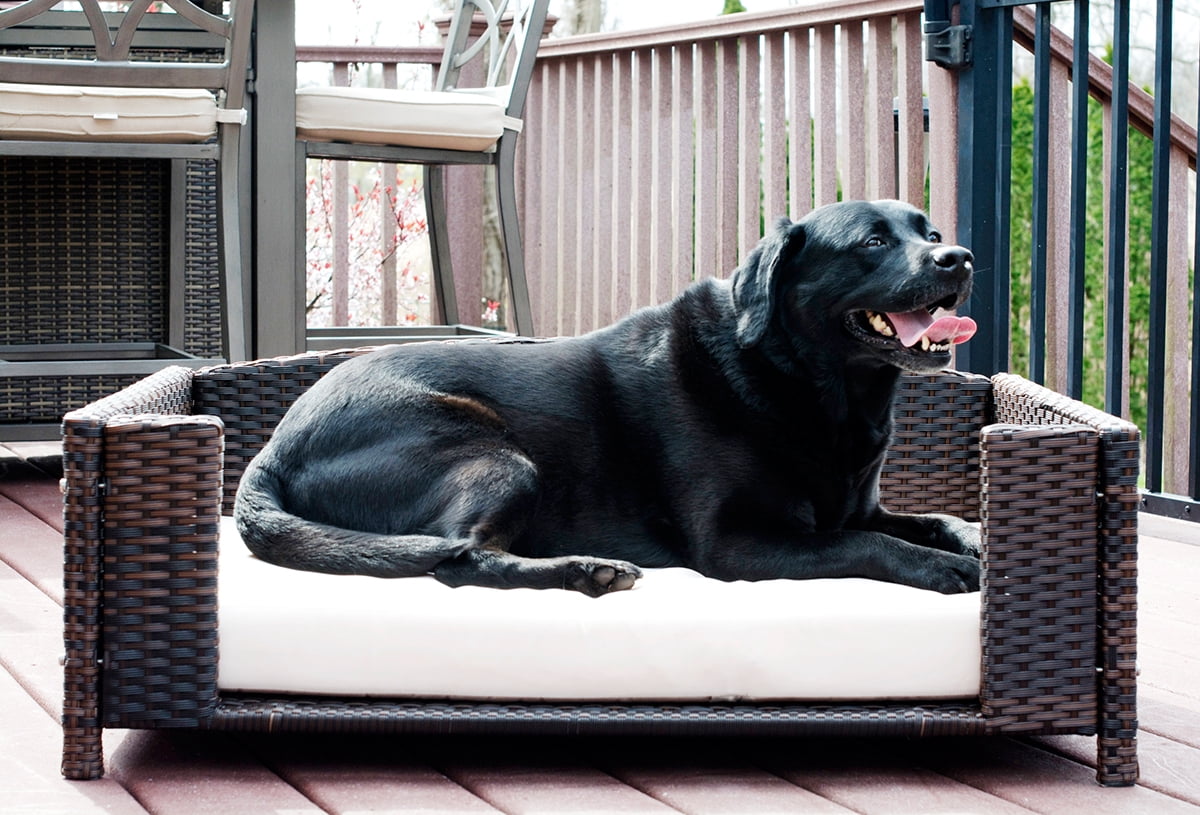 Iconic Pet Rectangular Elevated Rattan/ Wicker Pet Furniture for Dogs / Cats
