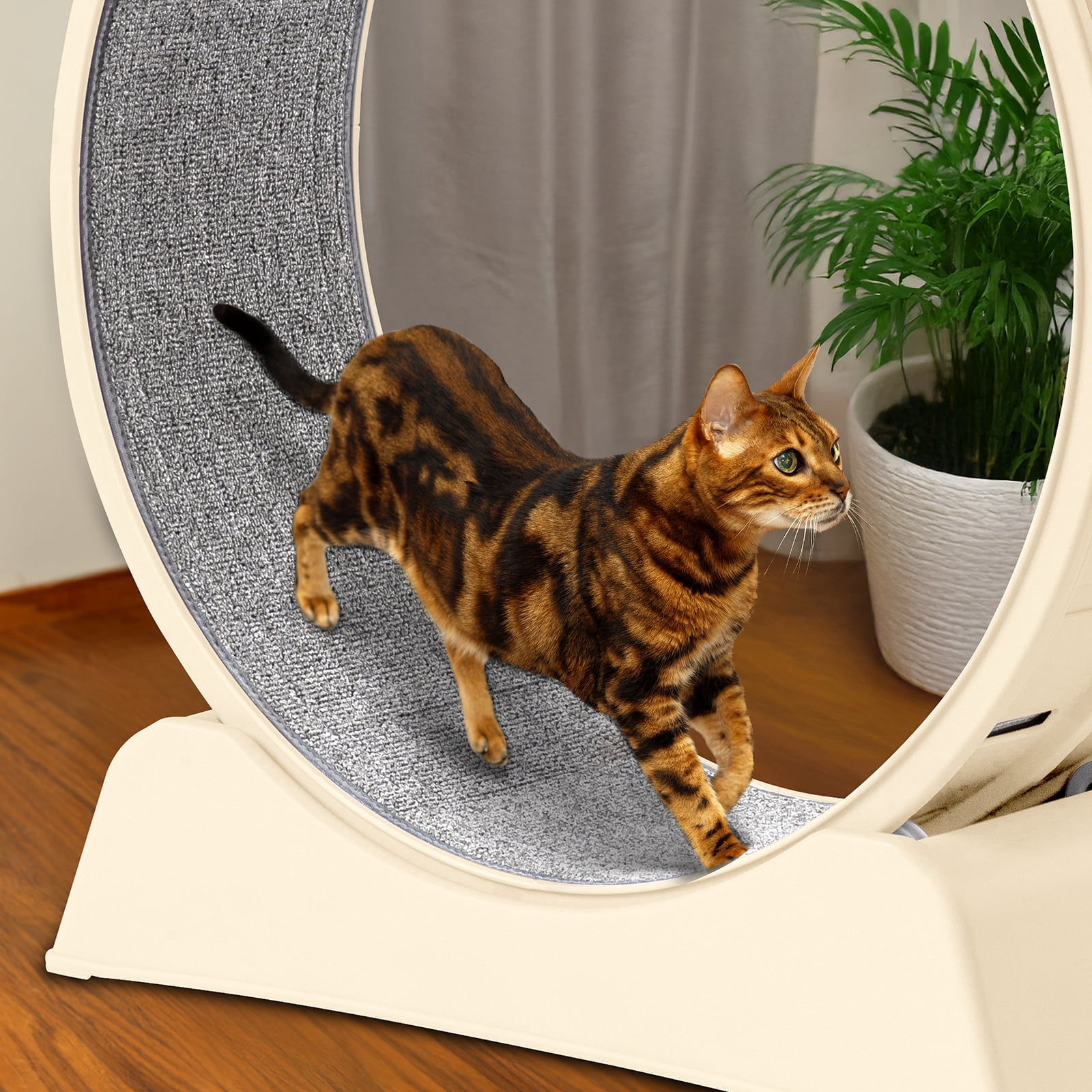 Ktaxon Cat Exercise Wheel 31in w/Green Mat & Free Teaser Wand, Safe PP Treadmill for Cats, White