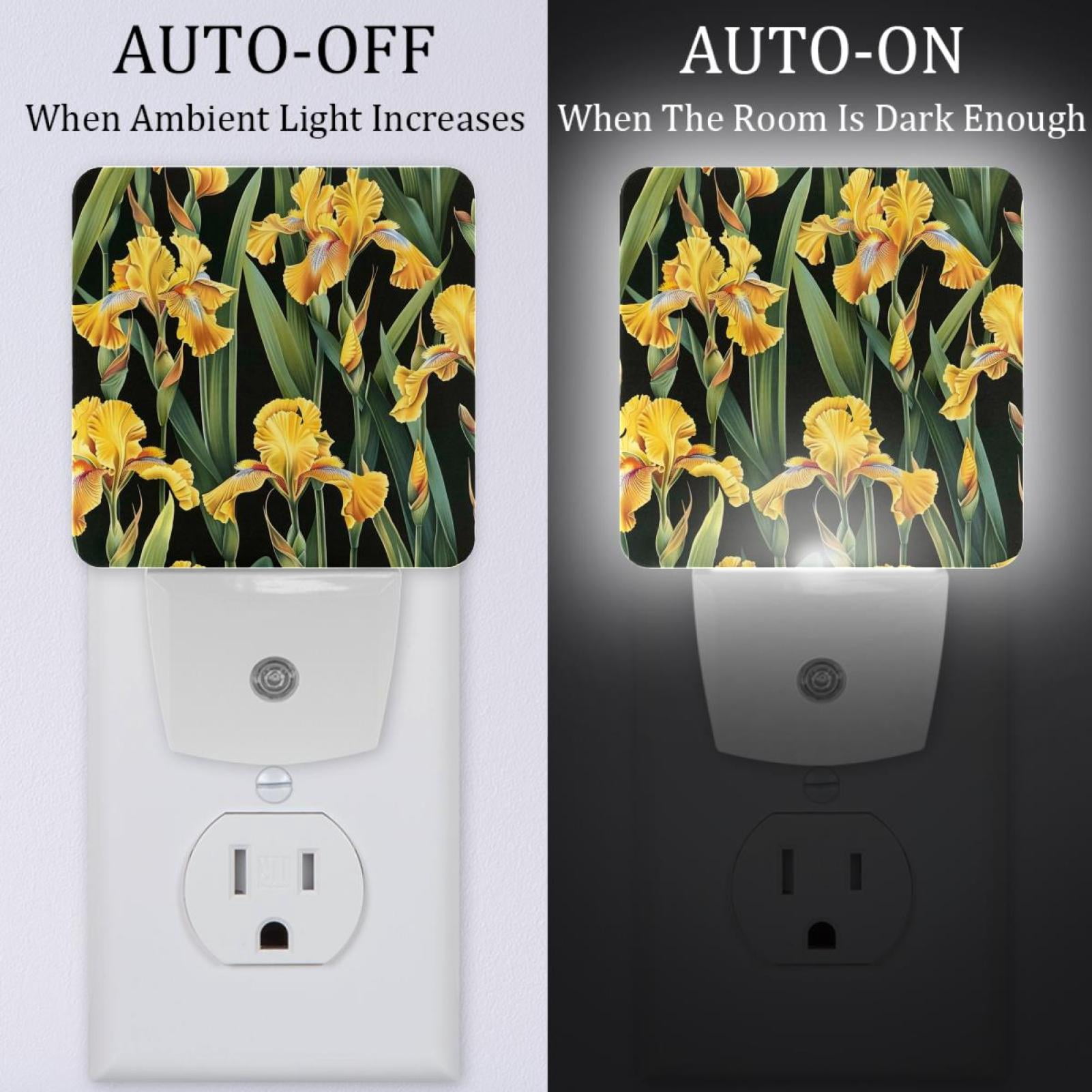 PhooArto Yellow Iris Flowers Pattern Plug in LED Night Light Auto Sensor Dusk to Dawn Decorative Night for Bedroom, Bathroom, Kitchen, Hallway, Stairs, Baby's Room, Energy Saving