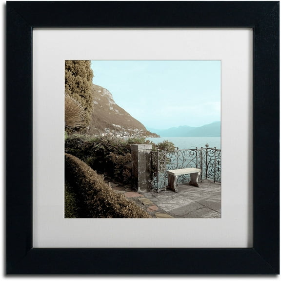 Trademark Fine Art "Lake Vista IV" Canvas Art by Alan Blaustein, White Matte, Black Frame