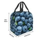 thumbnail image 3 of Easygdp Fresh Blueberries Bolsa Térmica Premium - Tela Oxford Impermeable, Gran Capacidad, Bolsillo Frontal, Unisex para Trabajo, Escuela, Actividades al Aire Libre y Picnics, 3 of 8