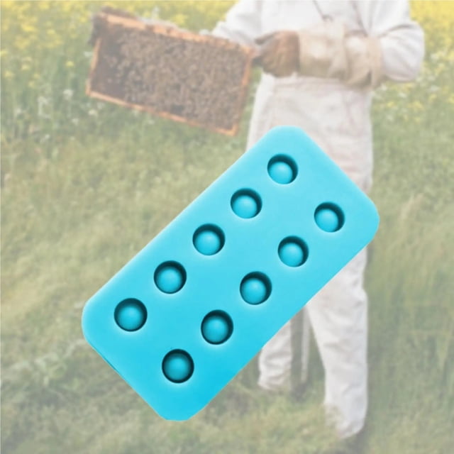 4 Pcs Moules de Greffage de Cire Queen en Silicone, Moule Compact Réutilisable pour Cire d'Abeille, Outil de Fabrication de Cire d'Abeille, Moule pour Cellules d'Abeille, Équipement