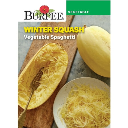 Burpee Vegetable Spaghetti Winter Squash Annual Vegetable Seed, 1-Pack, Full Sun
