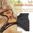 thumbnail image 3 of Goodwill Adjustable Dog Harness for Small Medium Large Dogs, Soft Padded Dog Vest, Reflective No-Choke Pet Oxford Vest, Orange, S, 3 of 7
