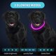 thumbnail image 2 of 4 Piezas Luces para Perros para Caminar Nocturno, Collares para Perros Iluminados, Collar para Mascotas LED Impermeable Ajustable Recargable por USB, Collar para Perros Iluminado de Segurida, 2 of 5