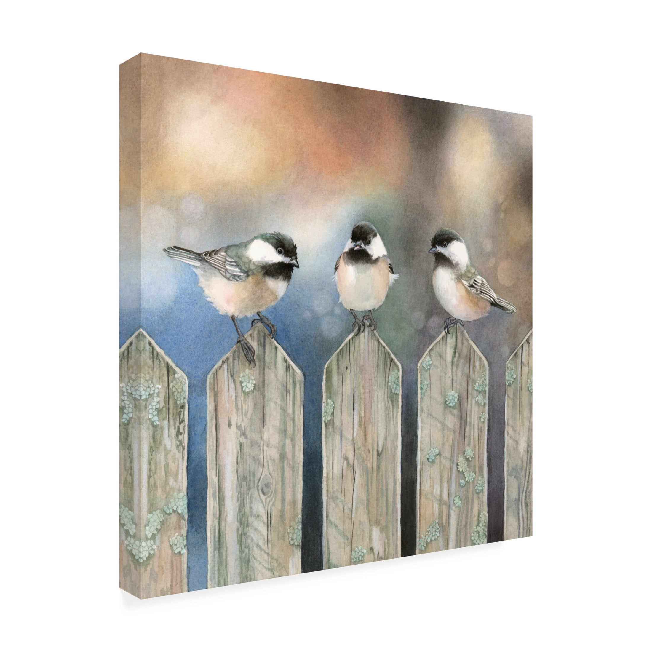 Canvas Wall Art - Marvindale 'Sitting on the Fence' Wall Art for Living Room, Bedroom, or Office Décor by Trademark Fine Art - 14 x 14 Inches